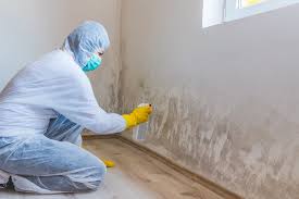 Asbestos and Lead Testing During Mold Inspection